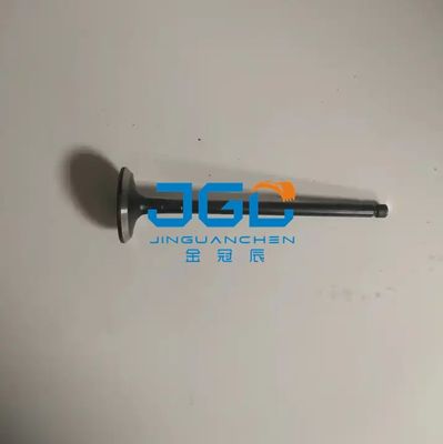 Moteur J08E J05S d'Exhaust Valve For de l'excavatrice VHS137151733