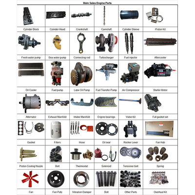 4BTA 3.9 4B 4BT Vilebrequin avec engrenage Pièces de moteur pour excavatrice Diesel 3908031 3863276